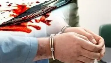 عاملان جنایت منطقه نامجو دستگیر شدند