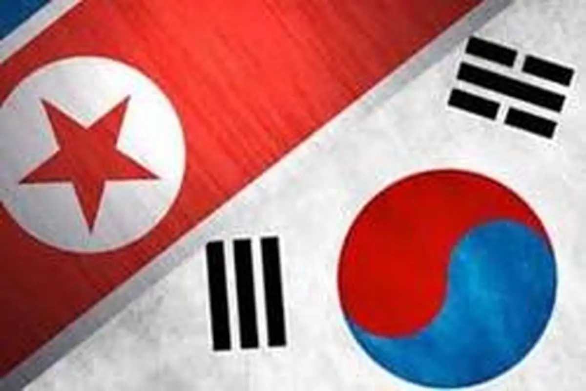 پاسداران مرزی دو کره غیرمسلح شدند