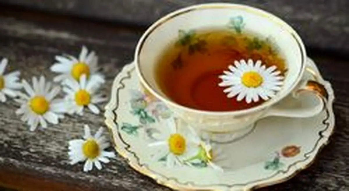 طرز تهیه و خواص چای بابونه