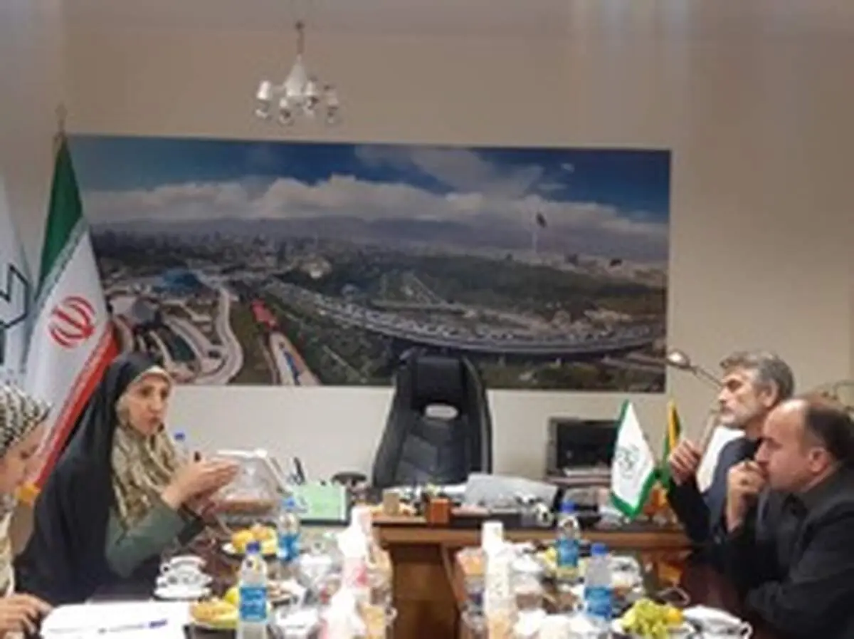 دست فروشی تخلف نیست؛ قانون خلا دارد/ دستفروشی در هیچ جای دنیا جرم نیست