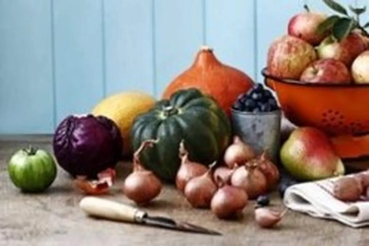 غذاهای ضد استرس را بشناسید