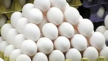 قیمت هر کیلو تخم مرغ به ۷ هزار تومان رسید