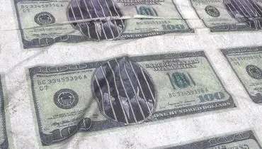 دلارهای روی زمین درمقابل لانه جاسوسی! +عکس