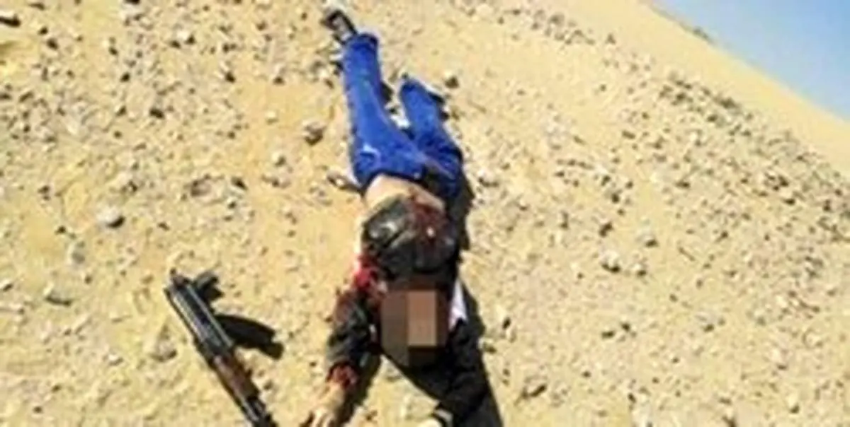 هلاکت ۱۹ تروریست حادثه تروریستی حمله به اتوبوس در مصر