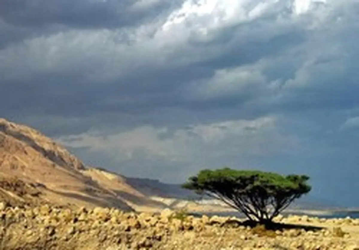 وقوع سیل ناگهانی در اردن جان دانش‌آموزان را گرفت