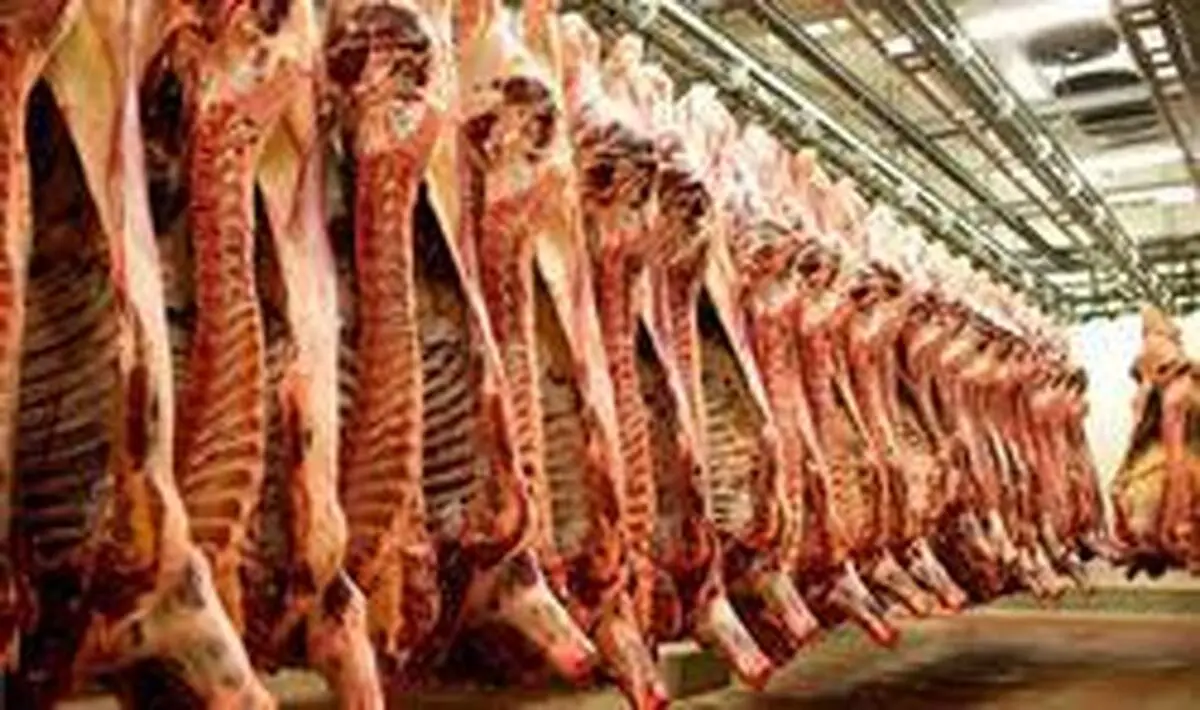 آغاز روند کاهشی نرخ گوشت در بازار