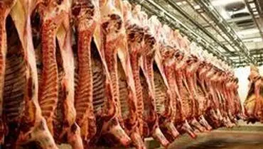 آغاز روند کاهشی نرخ گوشت در بازار