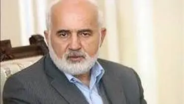 احمد توکلی:برخی سازمان‌ها خود درگیر فساد شده‌اند