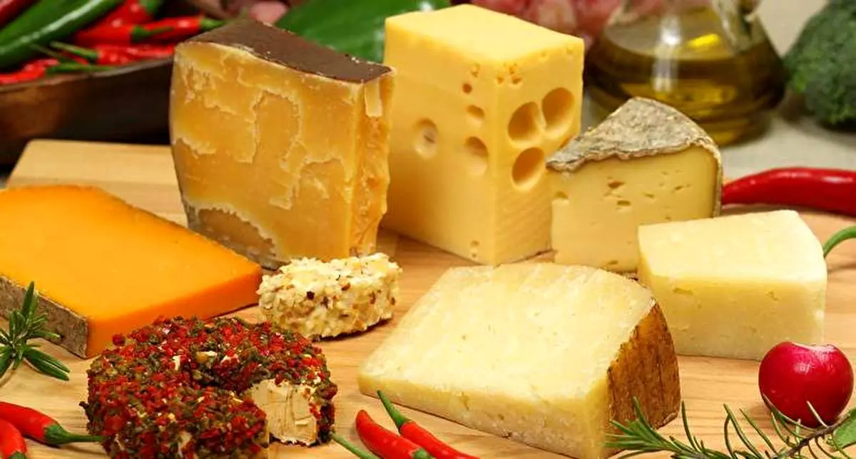 فیلمی از مراحل تهیه پنیر
