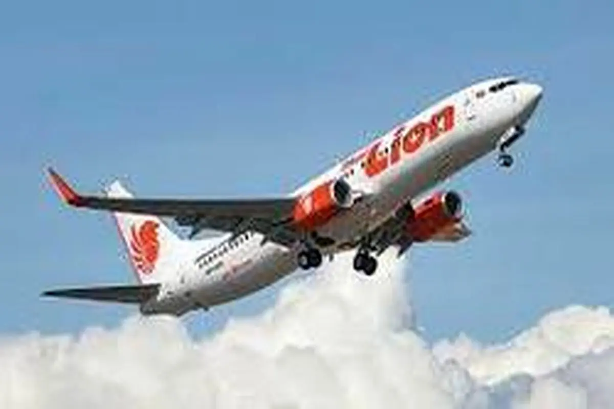 گاردین: هواپیمای اندونزی حامل ۲۰ مقام دولتی بود