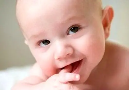 ریحان؛ از فواید درمانی تا هشدارهای مصرف

