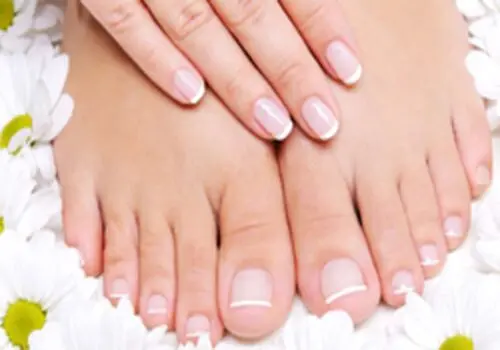 راهکارهای طب سنتی برای حفظ سلامت پوست و بدن در فصل سرد
