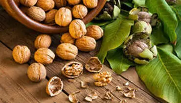 فواید معجزه آسای گردو را بشناسید