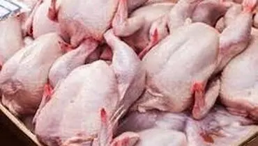 قیمت مرغ باز هم افزایش یافت