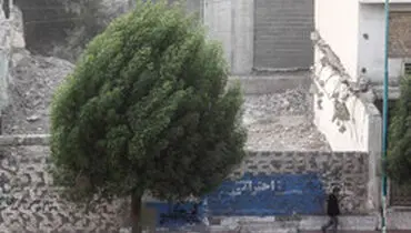 اخطار سازمان هواشناسی نسبت به وزش باد شدید