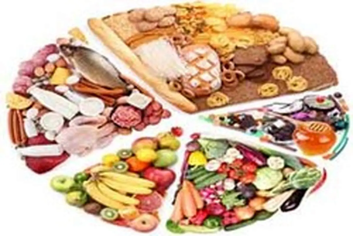 ۱۰ غذای عالی برای تقویت هوش