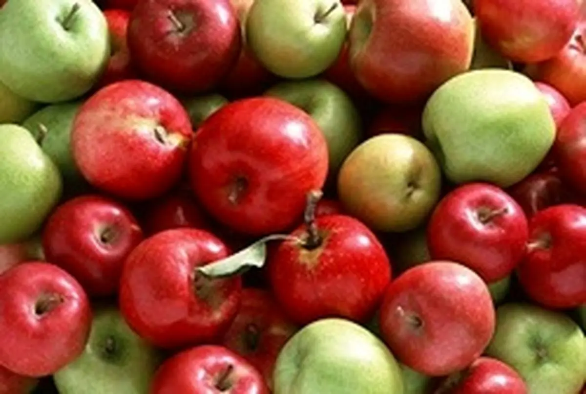 انواع سیب و خواص درمانی هر یک