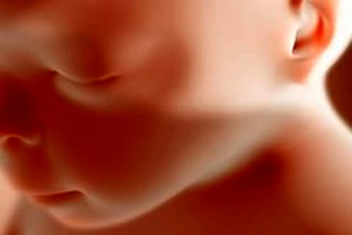 نکاتی دربارهی احکام رحم اجارهای