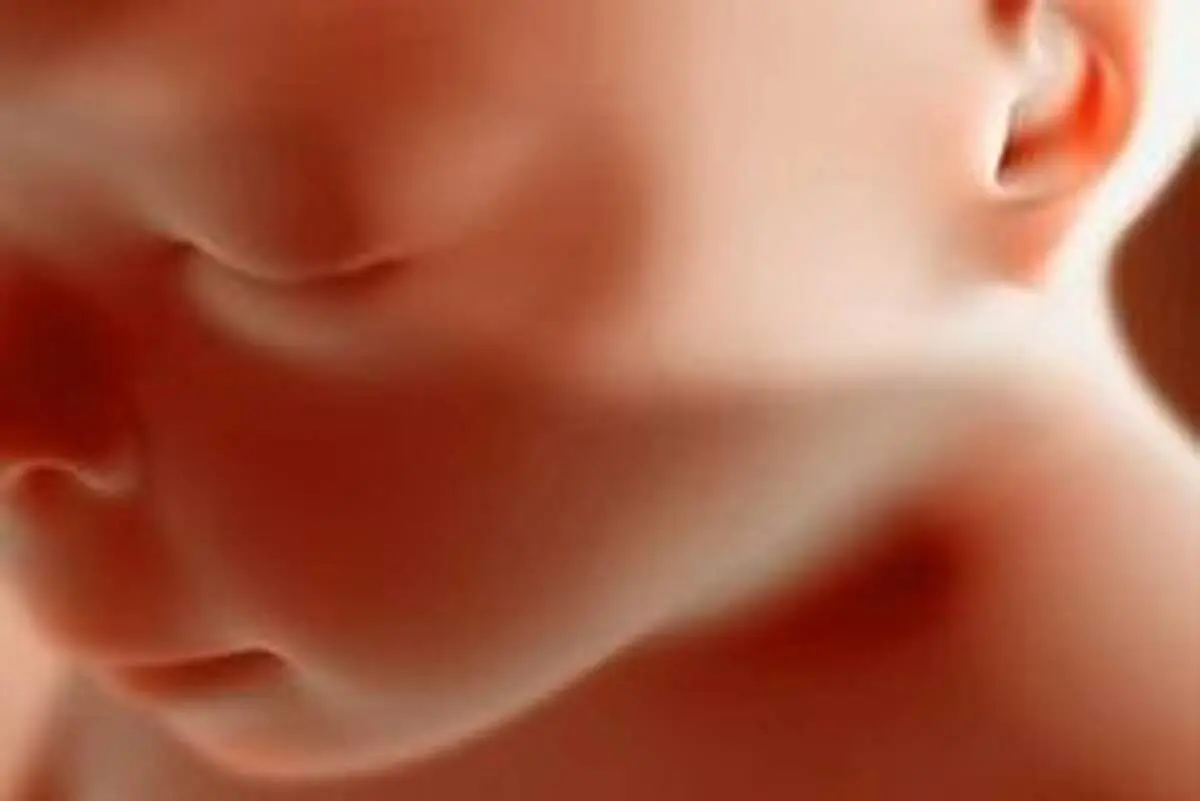 نکاتی درباره‌ی احکام رحم اجاره‌ای