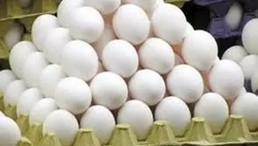 تخم‌مرغ ۱۳ هزار تومانی کجا عرضه شده است؟‌
