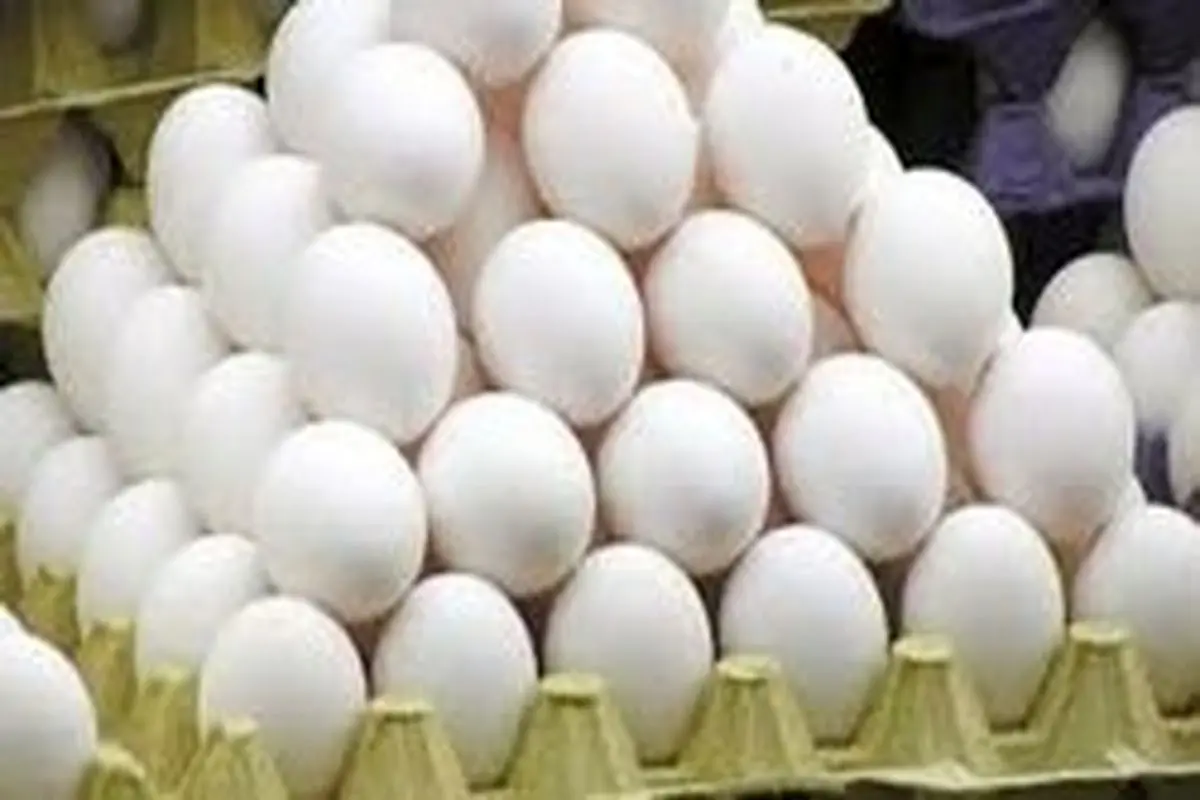 تخم‌مرغ ۱۳ هزار تومانی کجا عرضه شده است؟‌