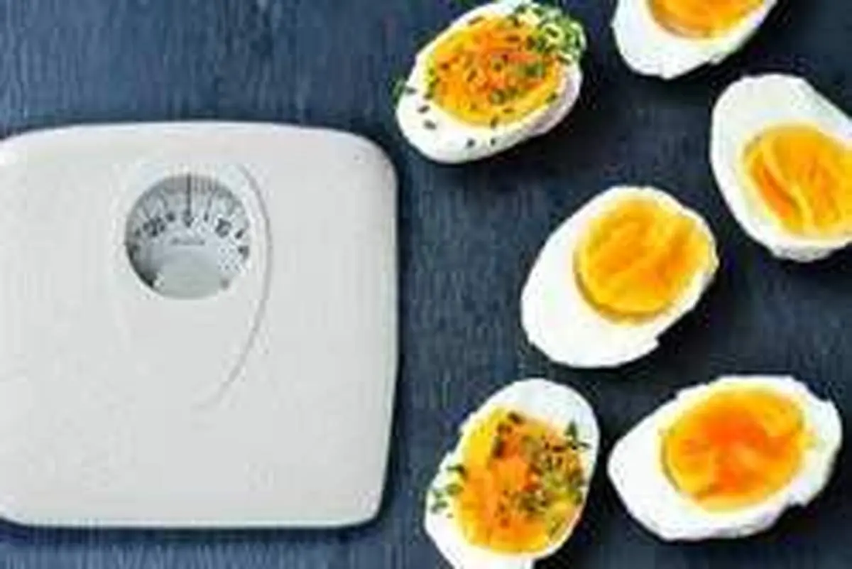 رژیم تخم مرغ، یک رژیم سریع و آسان برای لاغری