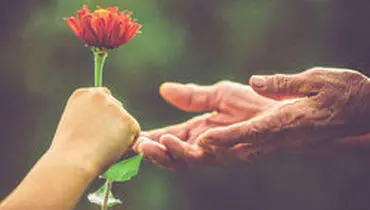 ۷ نکته عالی برای کسب احترام بیشتر