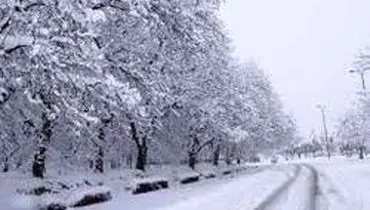 نجات ۲۷ تن از برف و کولاک در شمال تهران