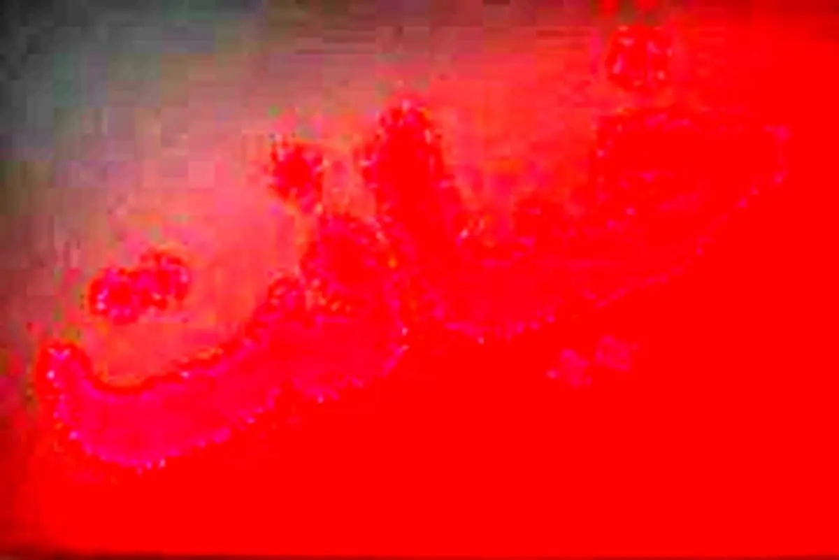 اعترافات یک زن متاهل جوان درباره روابط خیابانی‌اش