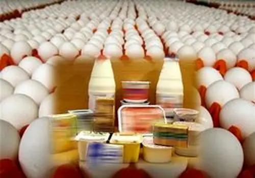 کاهش قیمت لبنیات در راه است؟ بررسی آخرین تحولات + فیلم