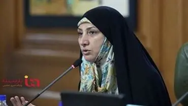 شورا اولین نهادی که با آثار مثبت و منفی قانون منع بکارگیری بازنشستگان مواجه بود+ویدیو