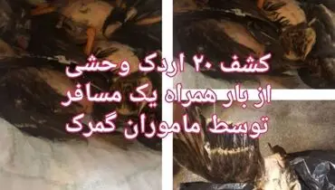 قاچاق اردک در گمرک شلمچه! +عکس