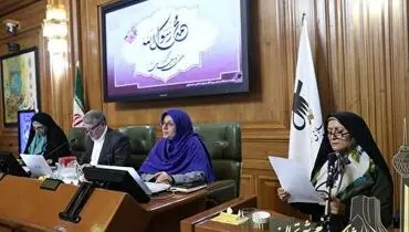 شفافیت اجتماعی را بعد از رسانه می‌توان به حساب شورا‌ها گذاشت+ویدیو