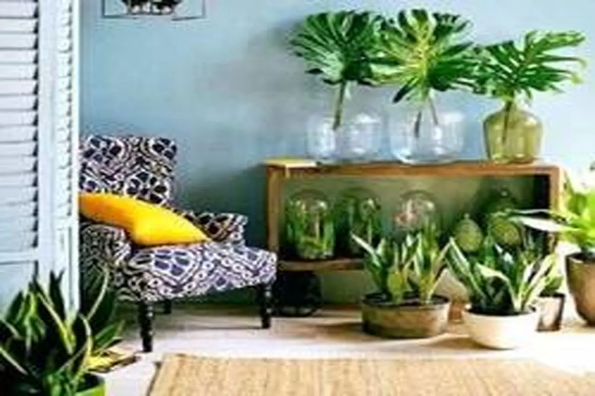 ایدههای استفاده از گل و گیاه در دکوراسیون منزل