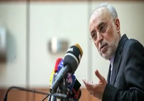اسراری که پیرترین درخت جهان می‌تواند فاش کند