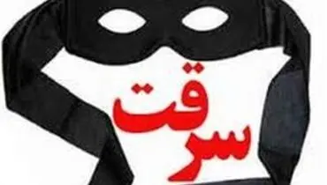 سرقت ۲۰ دقیقه‌ای مردان نقاب دار از ویلا