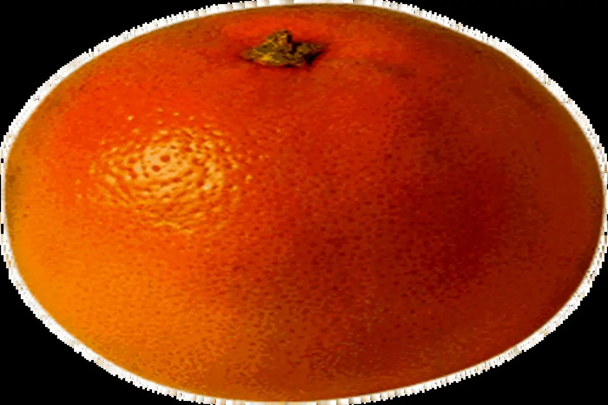 پرتقال بهترین میوه برای درمان چاقی