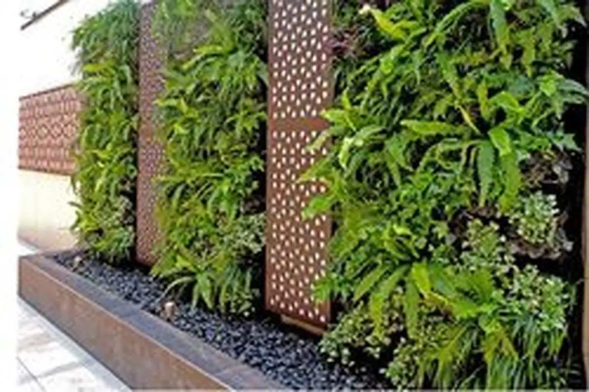 مدل دیوار سبز؛ گیاهان عمودی با یک دنیا طرح!