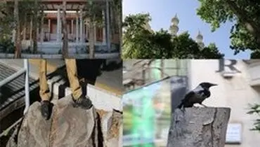 تهدید به آتش‌ زدن آثار هنری به نشانه اعتراض