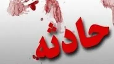 دفاعیات عجیب یک متهم به قتل