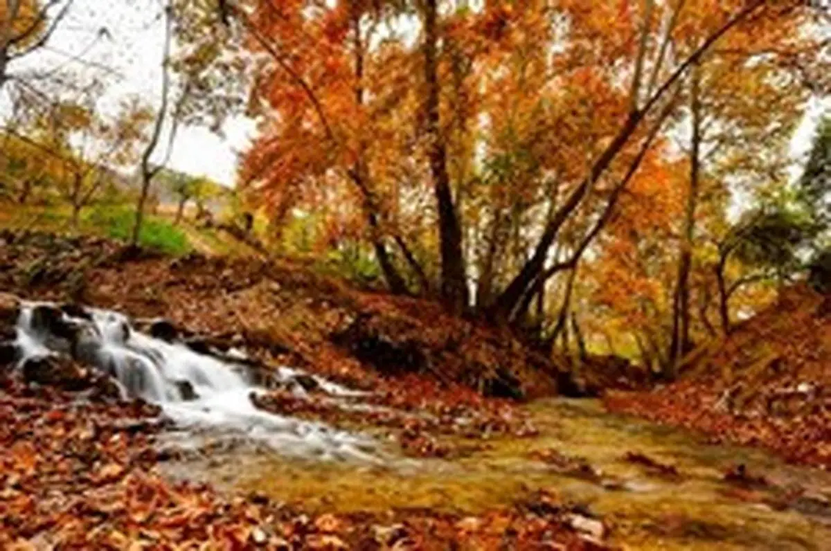 طبیعت پاییزی روستای مهنان