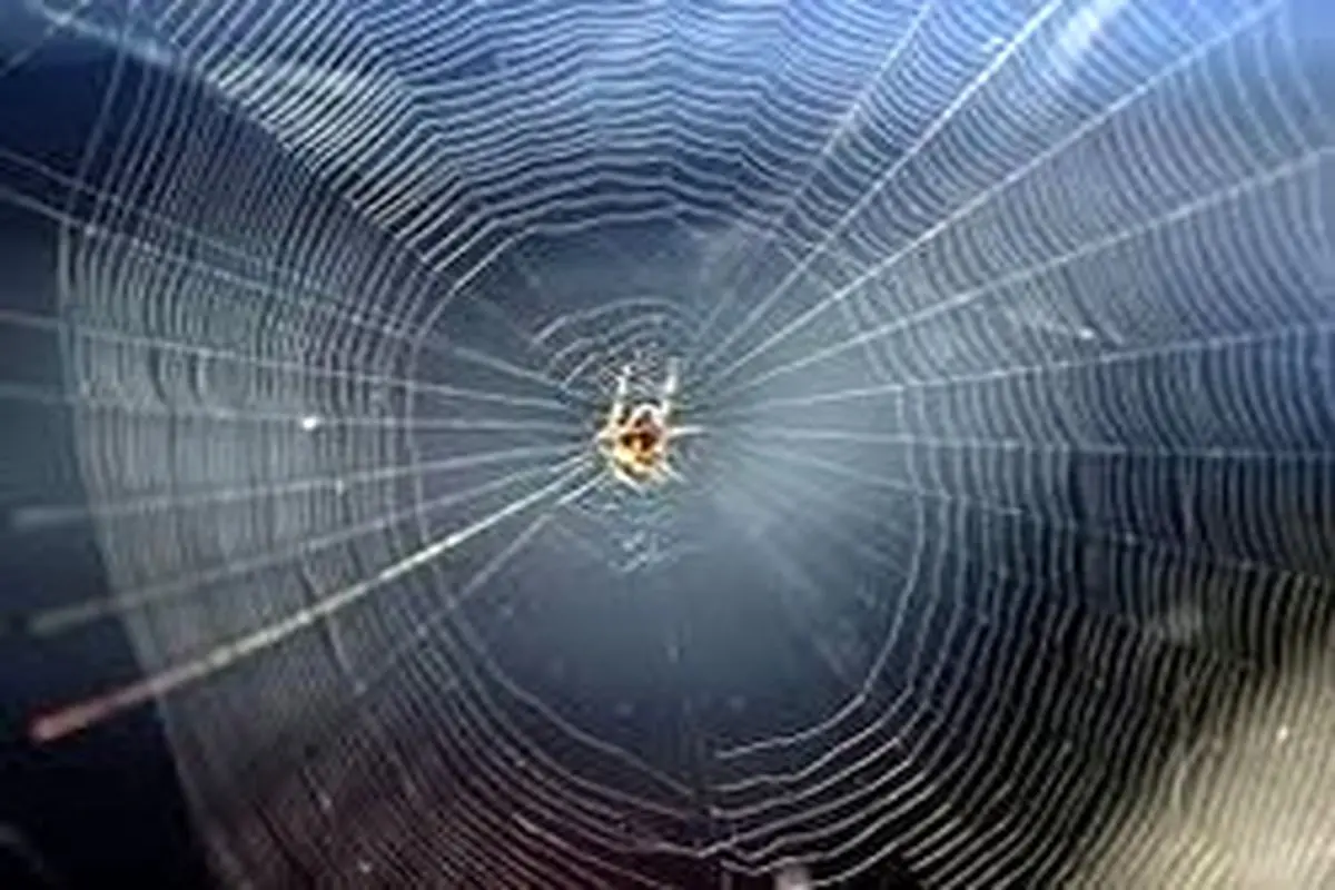 نقش عنکبوت در تحقیقات فضایی