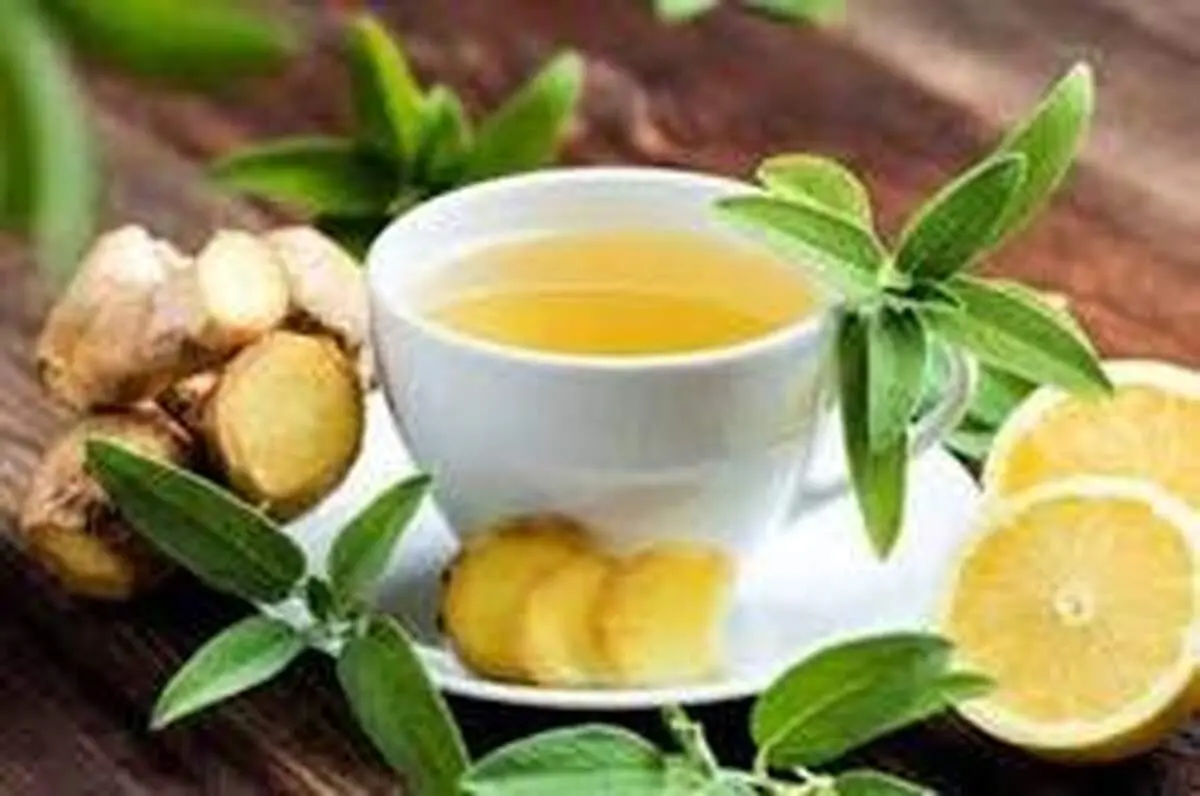 دمنوش‌های گیاهی برای کارکرد بهتر معده