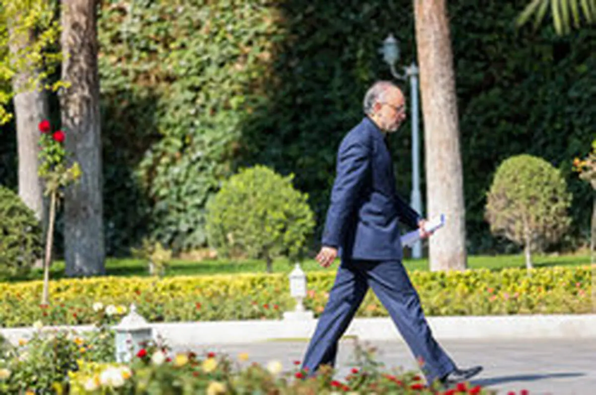رییس سازمان انرژی اتمی عازم وین شد