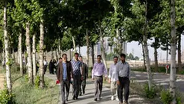 با فواید پیاده روی گروهی آشنا شوید