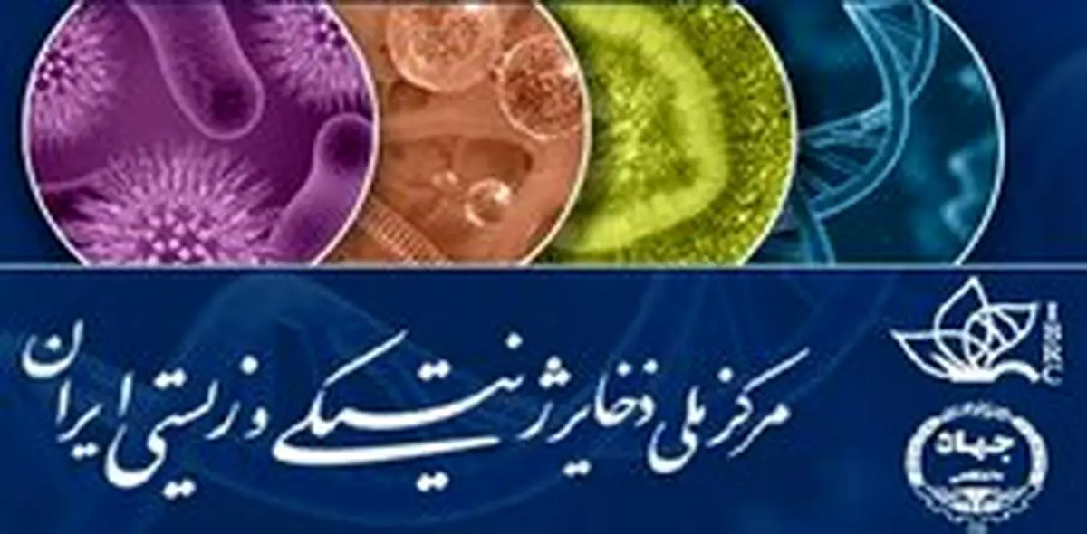مرکزی که با حکم رهبر تاسیس شد