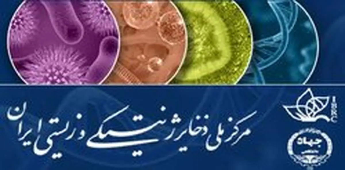 مرکزی که با حکم رهبر تاسیس شد