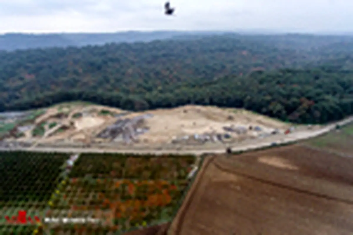 فاجعه زیست محیطی در جنگل نکا مازندران