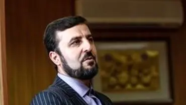نماینده ایران از نتیجه اجلاس اوپک تمجید کرد