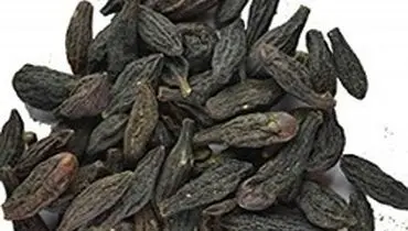 درمان سفیدی مو در طب سنتی